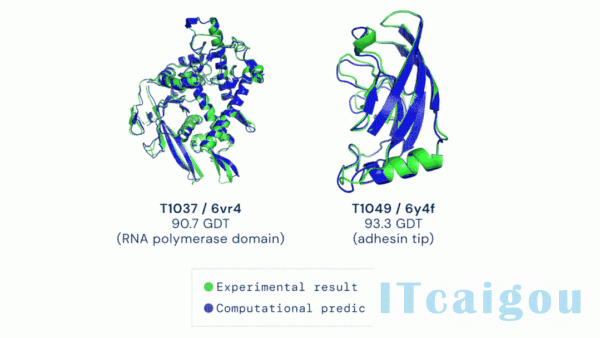 重磅！AI解决生物学50年大挑战，破解蛋白质分子折叠问题